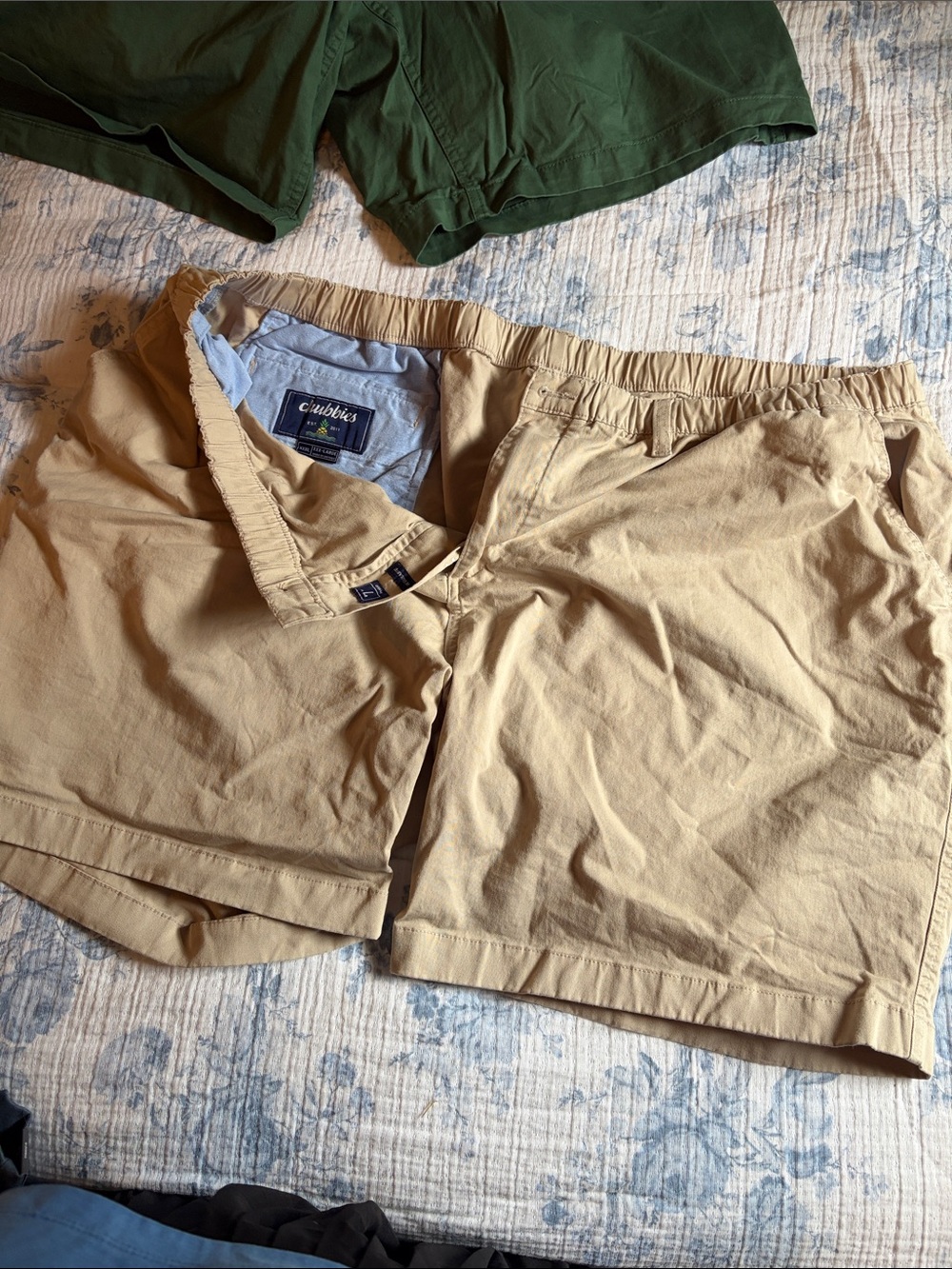 Chubbies Men's Tan Casual Shorts